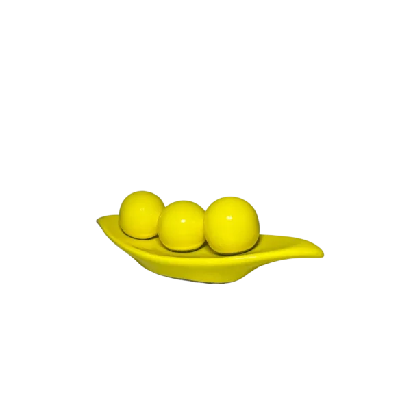Bandeja Barca