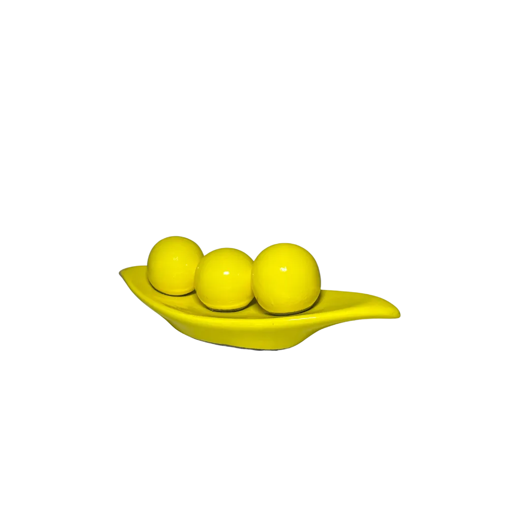 Bandeja Barca